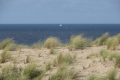IMG_2764-scaled