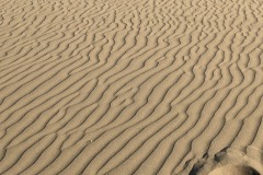 PXL_20210316_175902636.MP_