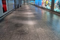 PXL_20210324_191842641