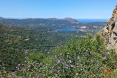 IMG-20240604-WA0005