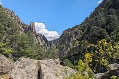 IMG-20240609-WA0019