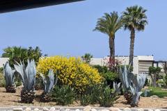 Grecotel Garten