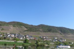 IMG_0445