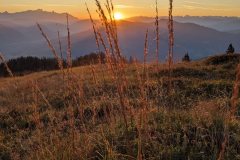 PXL_20230928_050653112
