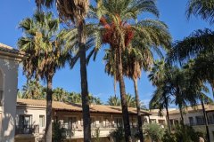 Grecotel Filoxenia