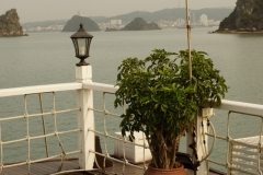 DSC09466
