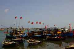 DSC09522